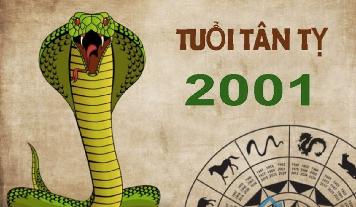 Người tuổi Tỵ sinh năm 2001 (Tân Tỵ) thuộc mệnh Kim, cụ thể là nạp âm Bạch Lạp Kim