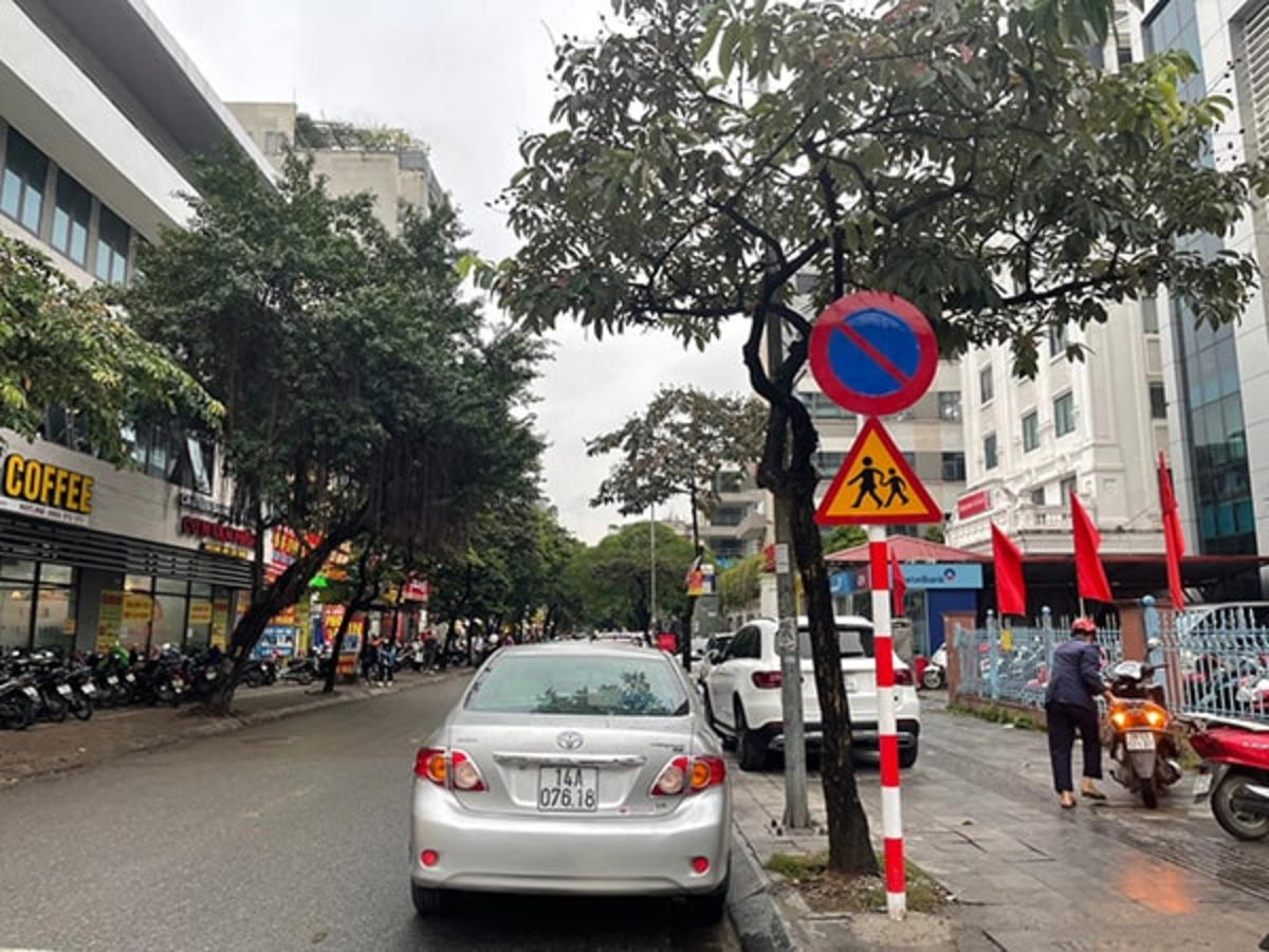 Mức phạt cho lỗi vi phạm cơ bản  