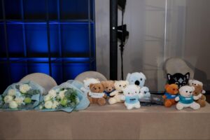 image7 image7